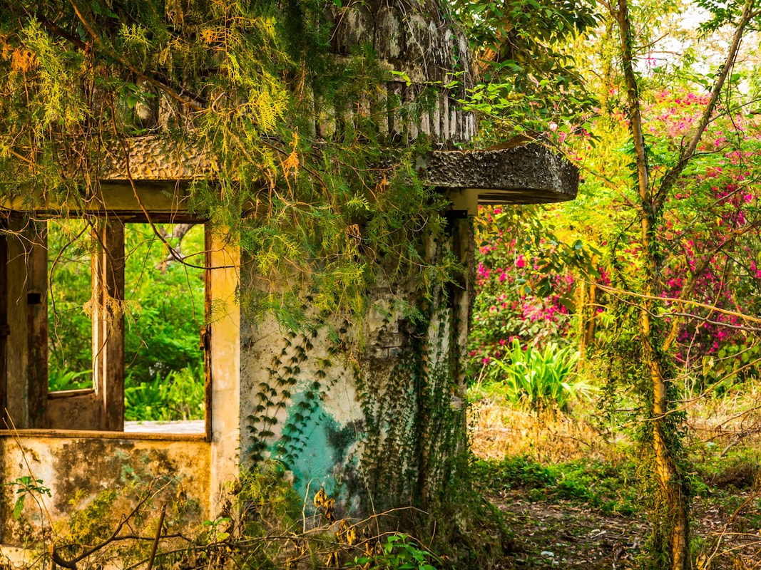 God Dieux Photography - Inside the Beatles Ashram Rishikesh India